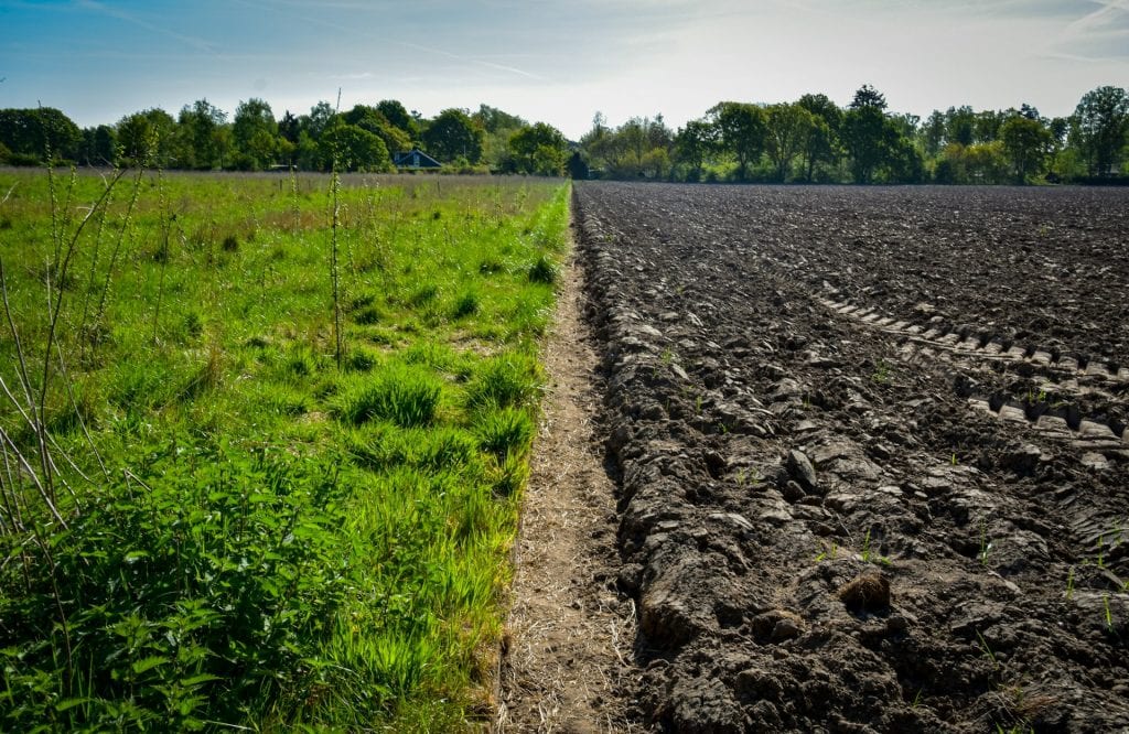 Regenerative Agriculture: A Journey Toward Sustainable Agriculture