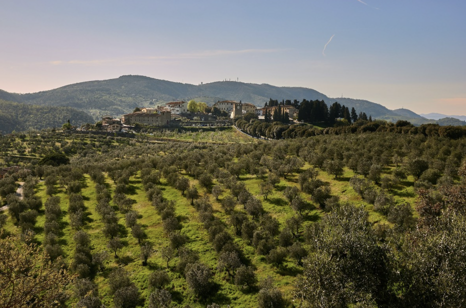 Rural Living in Italy: What to Expect—How to Do It Sustainably