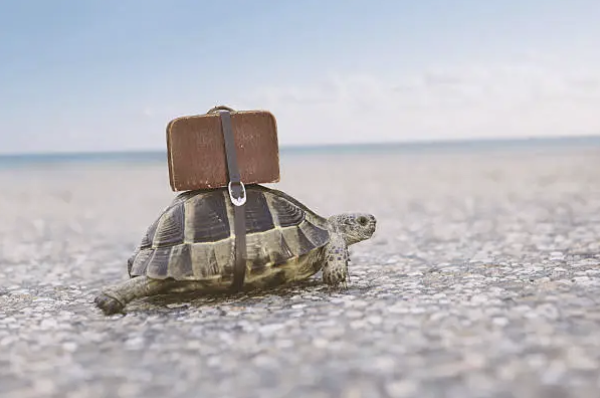 What slow travel does better than fast travel