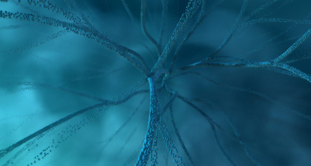 Nervous System Regulation: A Simple Toolkit You Can Actually Use (Even If You’re Busy)