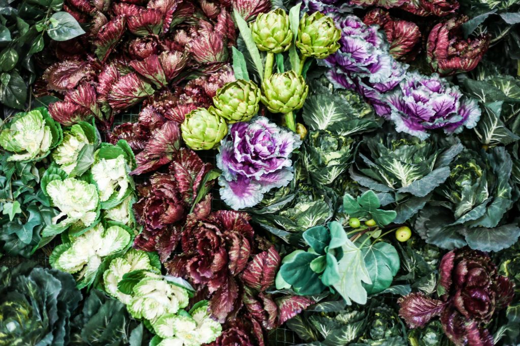 Drought-Tolerant Edible Plants for a Mediterranean Garden–A Shortcut List