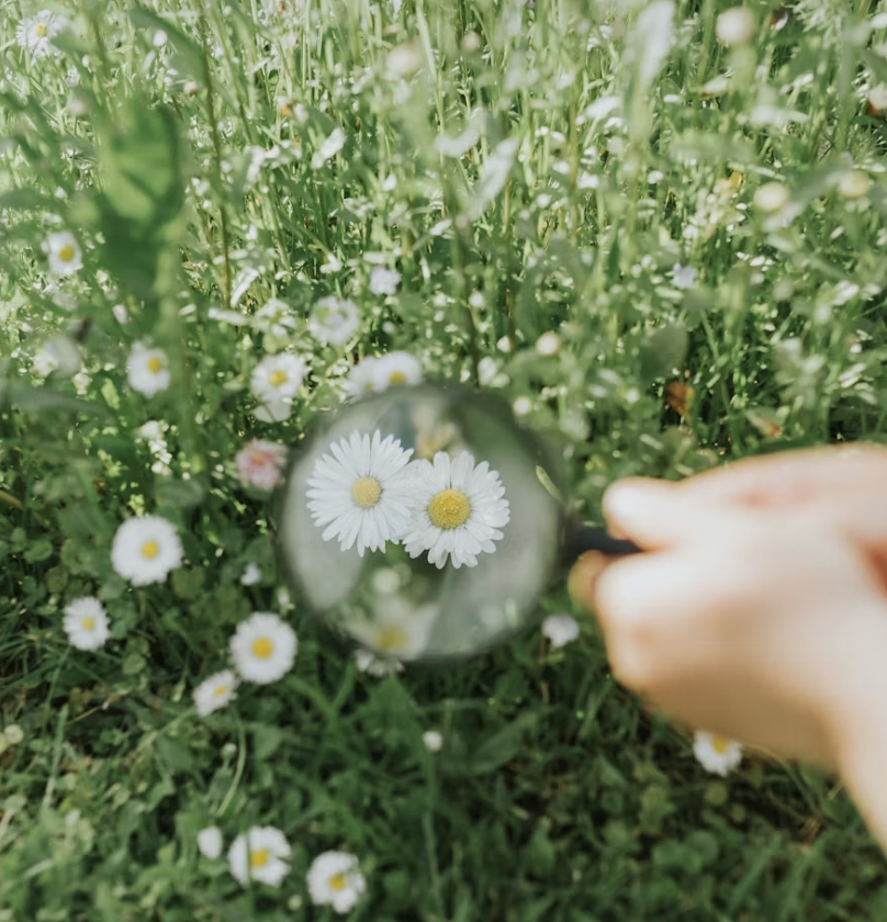 How to Find Clarity in Life