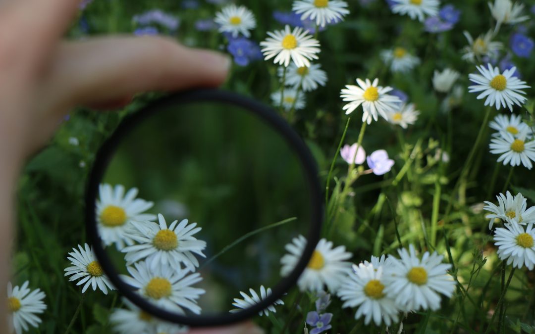 How to Find Clarity in Life When You Feel Stuck (Without Burning Everything Down by Friday)