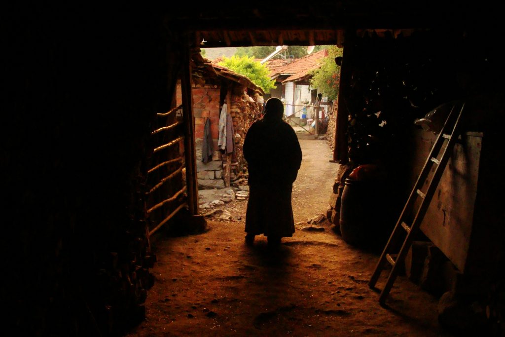 What rural village regeneration actually means